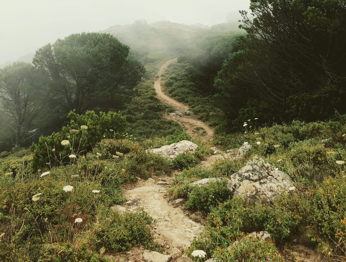 The Rocky Road to Biopolymer Cost Parity