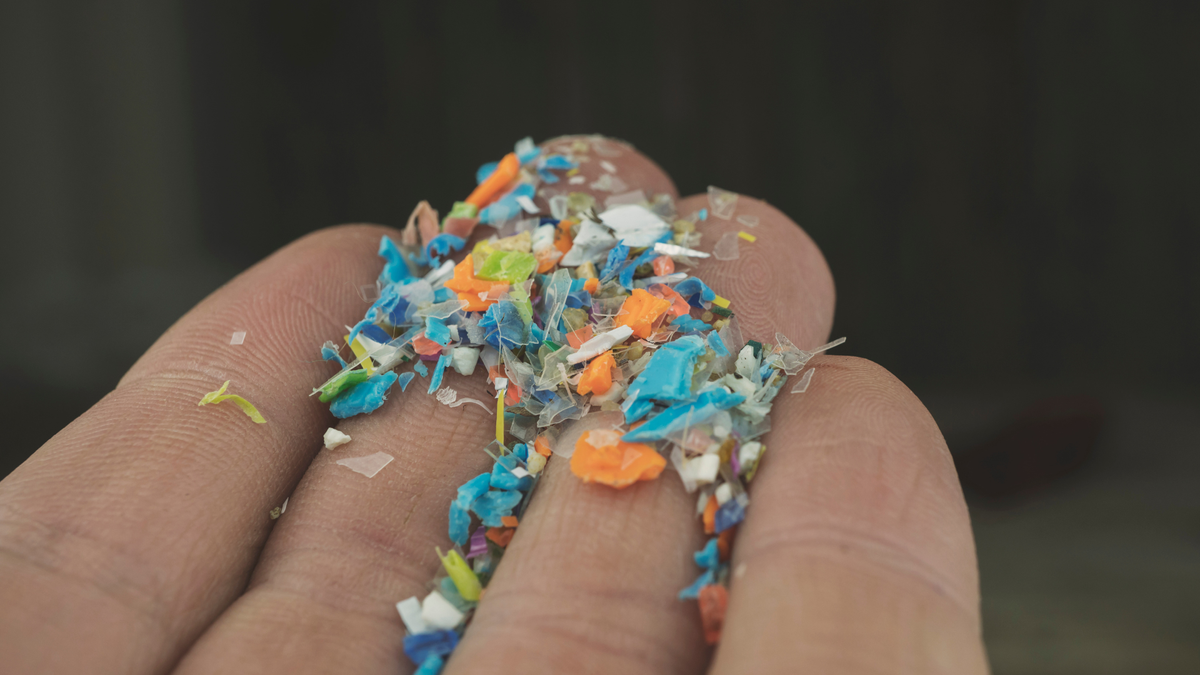 Microplastics Are in Everything Everywhere All At Once